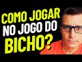 Como Jogar no Jogo do Bicho? Tipos de apostas e quanto Você Ganha?