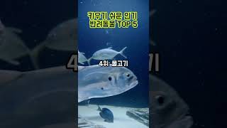 인기 반려동물 TOP5