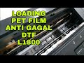 Loading Pet Film DTF anti Gagal di L1800 Modif DTF