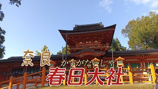 奈良春日大社⛩️ #燈籠#世界文化遺產 #Kasuga Taisha#日本生活 #日本旅行 #日本留學