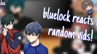BLUELOCK REACTS TO RANDOM VIDS | short | read description!