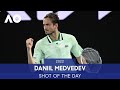 AI Shot of the Day - Daniil Medvedev | Australian Open 2022 Day 12 Presented by Infosys