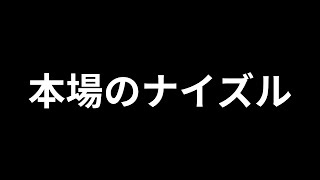 【FF11初心者】本場のナイズル