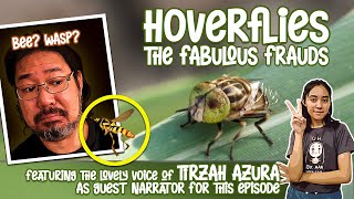 Hoverflies: The Fabulous Frauds