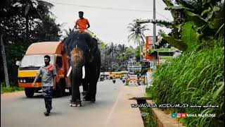 puthankulam ananthapadmanabhan whatsapp status ❤💖|YUVARAJA KODUMUDI ❤