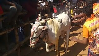 புளியமரத்தூர் இந்தியன் ஆர்மி |karungalikuppam street |TAMIZH ROCK