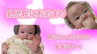 陽乃ちゃんだらけの動画🐥🩷