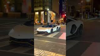 Beautiful Lamborghini Aventador Ultimae Roadster With A STARDROPPER Exhaust.