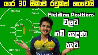 Fielding Positions කීයක් තියනවද? | ක්‍රිකට් පිටිය ගැන අපූරු තොරතුරු