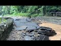 Storm damages Palisades Interstate Park; woman rescued in Englewood