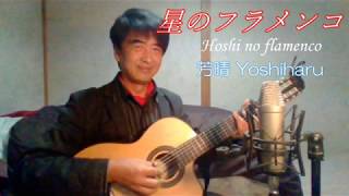 【歌謡曲】星のフラメンコ / 西郷輝彦 / cover 芳晴（よしはる Yoshiharu） 【ギター弾き語り】