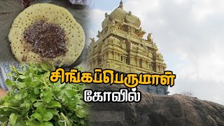 புரட்டாசி மாதம் பெருமாள் தரிசனம் |சிங்கப்பெருமாள் கோவில் | Singaperumal Temple |Malini senthil vlogs