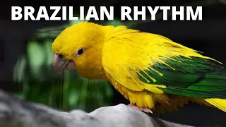 SAMBA REGGAE PERCUSSION - BRAZILIAN RHYTHM  (AUDIO LIBRARY)