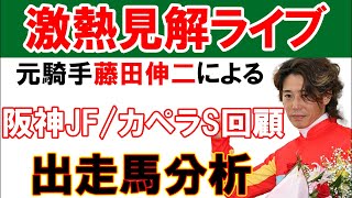 阪神JF / カペラS 回顧‼︎