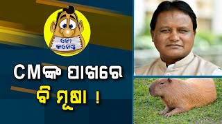 CM Mohan Majhi's Office Has A Mole Too...Who Leaks Information | No Comments | Nirbhay Gumara Katha