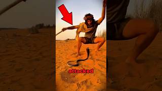 Man vs King Cobra 😱