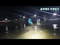 끊임없이 올라오네 투망잘치는방법 숭어투망 야간투망 대전어 cast net fishing sea fishing