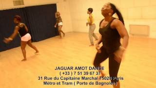 JAGUAR AMOT DANSE