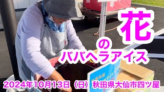 癒しの街・花のババヘラアイス・秋田名物・大仙市四ツ屋・Healing Town•Babahera ice cream•Daisen,Akita,Japan•13 October 2024