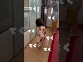 おしゃべり大好き！かまちょな1歳児 1歳