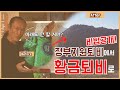 (461)어디서도 듣지 못한 정부지원퇴비 1000% 활용법 | 정부지원퇴비에서 황금 유기농 퇴비로