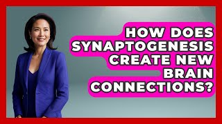 How Does Synaptogenesis Create New Brain Connections? - Brain Development Hub