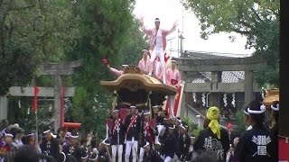 2015 熊取 だんじり祭 (大森神社 宮入 紺屋)