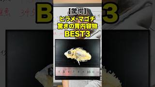 これ食べるの！？驚きの胃内容物BEST３【ヒラメ・マゴチ】