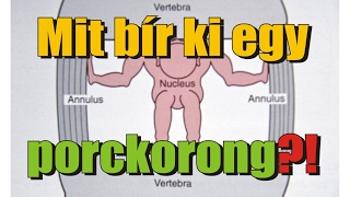 Mit bír ki egy porckorong?!