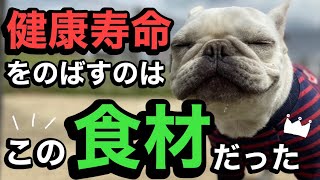 【犬ごはん】犬を長生きさせる食べ物はこれだった！