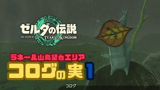 【ゼルダの伝説　ティアキン】コログの実１！ラネール山鳥望台エリア