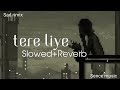 tere liye song tere liye song lofi tere liye slowed and reverb dj sence music