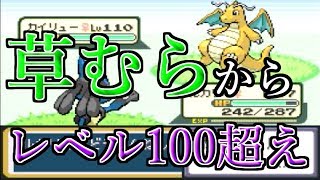 【改造ポケモン】～レベル100超えポケモン捕まえたい放題？？～モヤッシモンスター049 #21