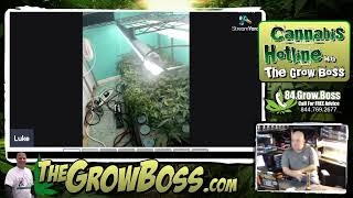 Ultimate Grow House Luke #20- problems with the clones