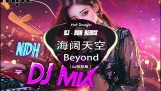 抖音DJ《预谋+我的心太乱+她很孤独+留什么给你+我不是一个好男人 , 难得有情人DJ版 , 巫启贤《只因你伤心》 》2024年香港流行DJ歌曲最佳合輯 ; 著名 DJ 歌曲