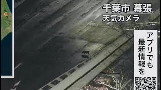 【天カメ】猫ちゃんが道路を横断する瞬間をとらえる！【ウェザーニュースlive】