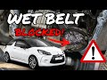 Wet Belt Replacement. The worst one I've seen! 2017 Citroen DS3 1.2 Petrol