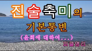 진술축미의 통변시 알아야 할 기본사항 (윤회에 대하여) - 피클명리