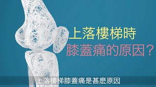 【#第15屆健康博覽．健康資訊站】上落樓梯膝蓋痛是甚麽原因？