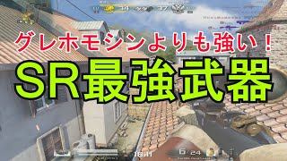 【AVA】いろぶき！SSクラスの超万能ムービングスナが強すぎるｗ【Kar98K Death Leaf 2F】