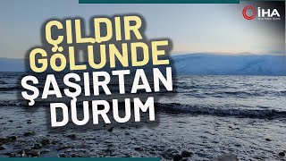 Çıldır Gölünde Şaşırtan Durum: Göl Donmadı