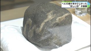 ネットで話題　2匹の白ヘビ模様が浮かぶ石　一目見ようと多くの人　三重・玉三稲荷神社