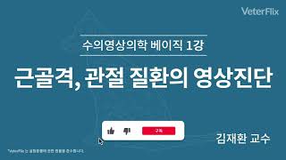 [베터플릭스] 영상의학 베이직 1강. 근골격, 관절 질환의 영상진단_강의