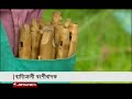 Omar play the flute with the nose! | Jamuna TV