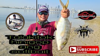 Golden Trevally kinagat rin ang soft plastic bait || Ultralight fishing || Abu Dhabi UAE