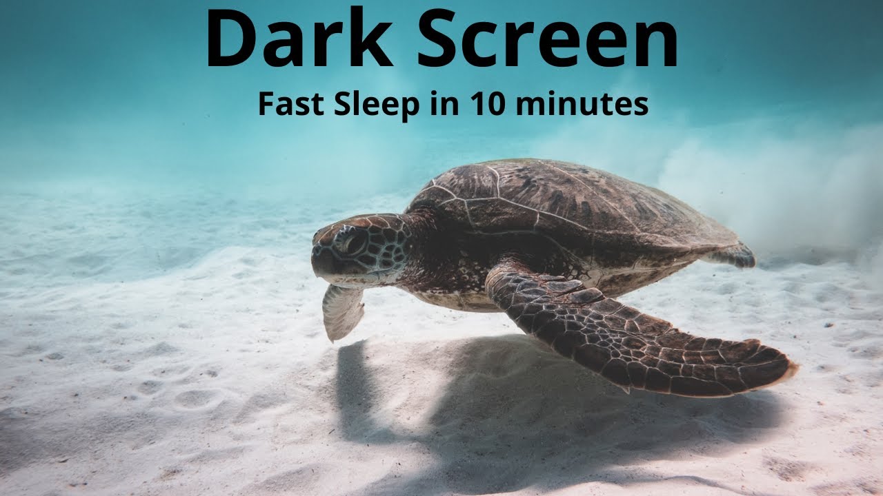 Ocean Waves Sounds Black Screen 10 Hours Relaxing Sounds Youtube