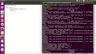 Linux Syscall - C and Assembly