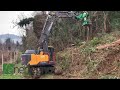 volvo ec140el e cesoia per abbattimento alberi serie wt a noleggio