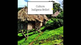 Cultura Indígena Bribri.