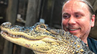 DO REPTILES FEEL LOVE?? | BRIAN BARCZYK